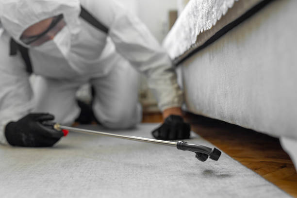 Professional Bed Bug Control technician working in Winnebago County County, IA